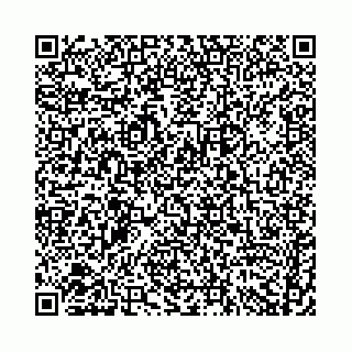vCard 74958780039