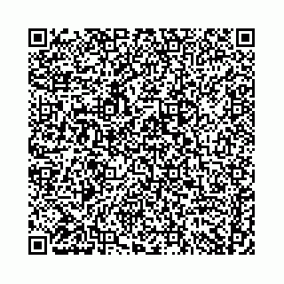vCard 74958780051