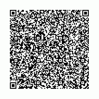 vCard 74958780084