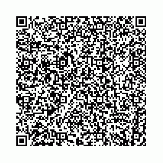 vCard 74958780085