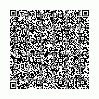 vCard 74958780138