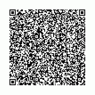 vCard 74958780373