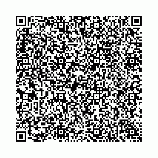 vCard 74958780380