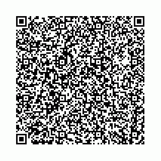 vCard 74958780399