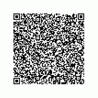 vCard 74958870311