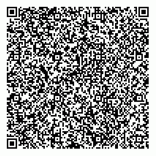 vCard 74959161381