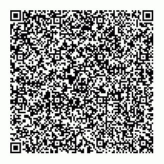 vCard 74959193929