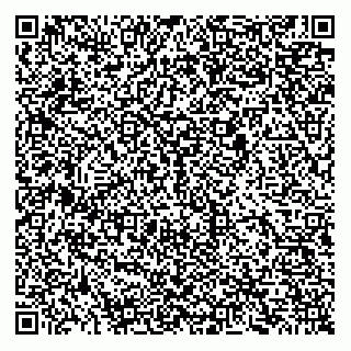 vCard 74959319191