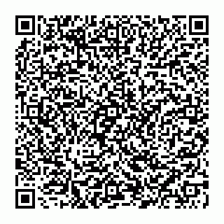 vCard 74959338753