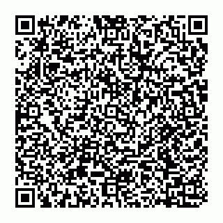 vCard 74959371307