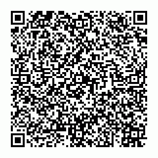 vCard 74959419383