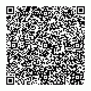 vCard 74959419384