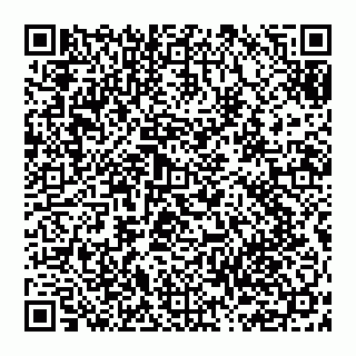 vCard 74959563968
