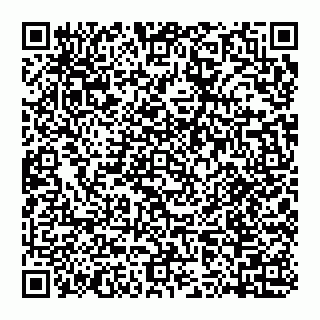 vCard 74959741381