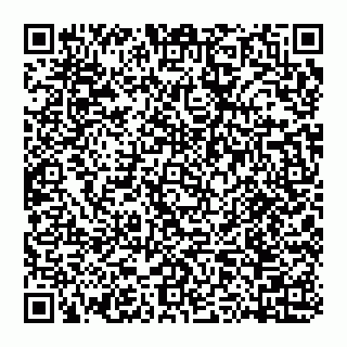 vCard 74959741384
