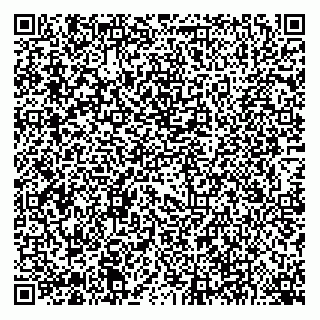 vCard 74959741385
