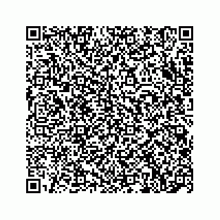 vCard 74962010541