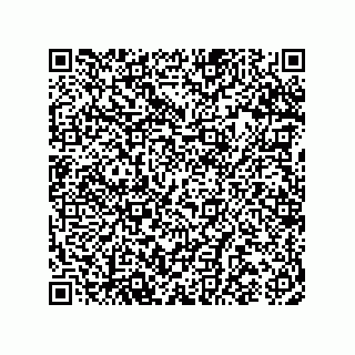 vCard 74962153163