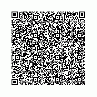 vCard 74962200279
