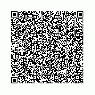 vCard 74962200511