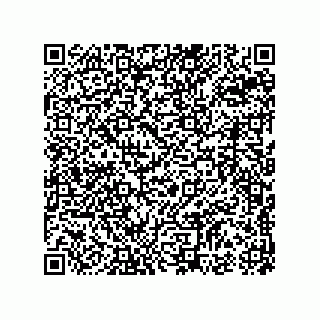 vCard 74962275211