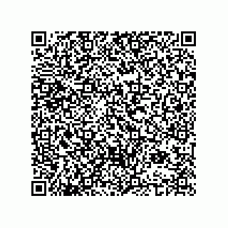 vCard 74962478101
