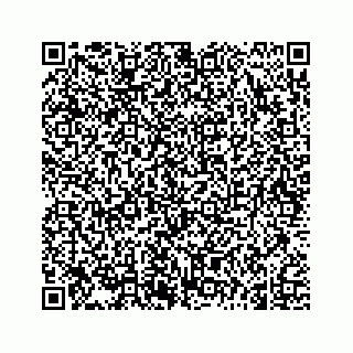 vCard 74962635031