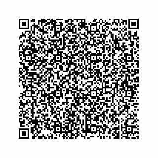 vCard 74962635279
