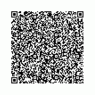 vCard 74962635311