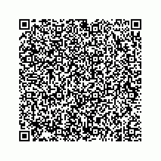 vCard 74962635313