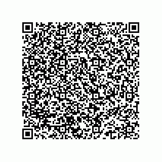 vCard 74962771021