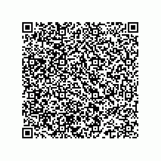 vCard 74962771038