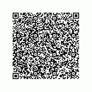 vCard 74962776039