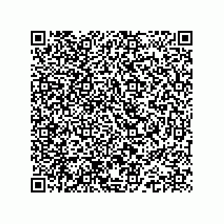 vCard 74962776133