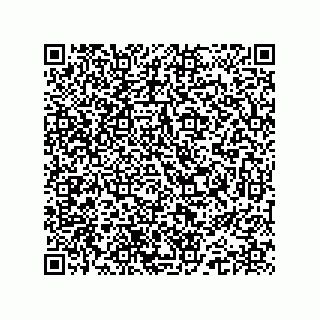 vCard 74962776177