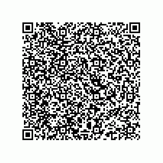 vCard 74962776373