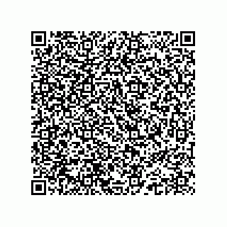 vCard 74962776381