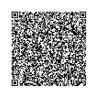 vCard 74962793238