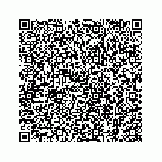 vCard 74962793331