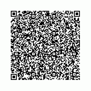 vCard 74962793421
