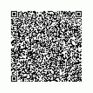 vCard 74962793461