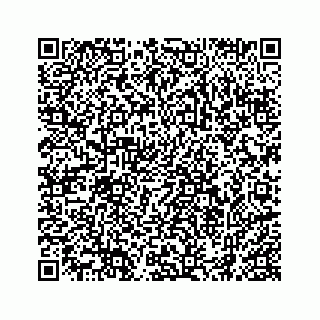 vCard 74962793479