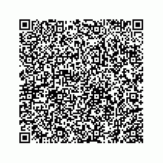 vCard 74962797132