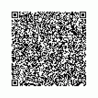 vCard 74962797310