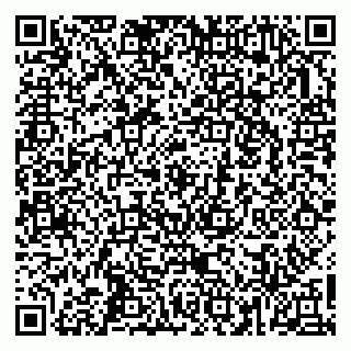 vCard 74963069538