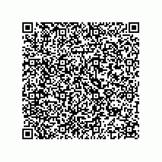 vCard 74963157287