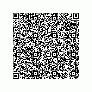 vCard 74963157311