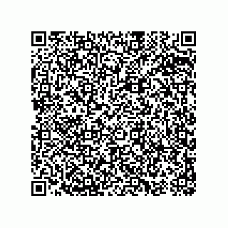 vCard 74963157333