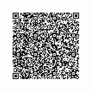 vCard 74963157413