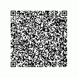 vCard 74963157417